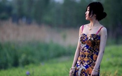 妻为上动漫免费观看